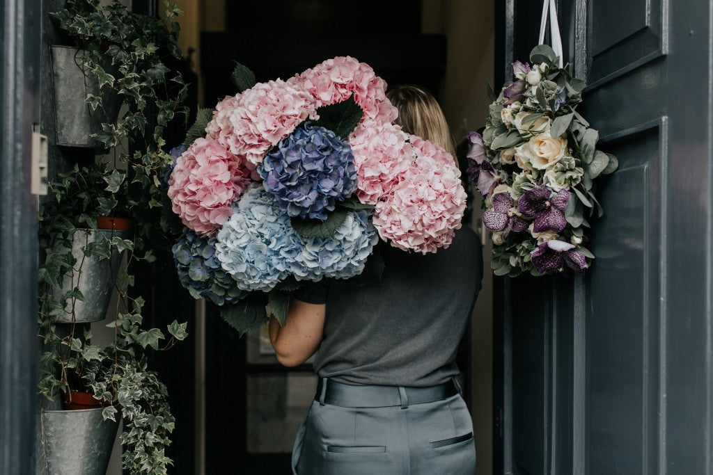 Florist with large bunches of hydrangea flowers