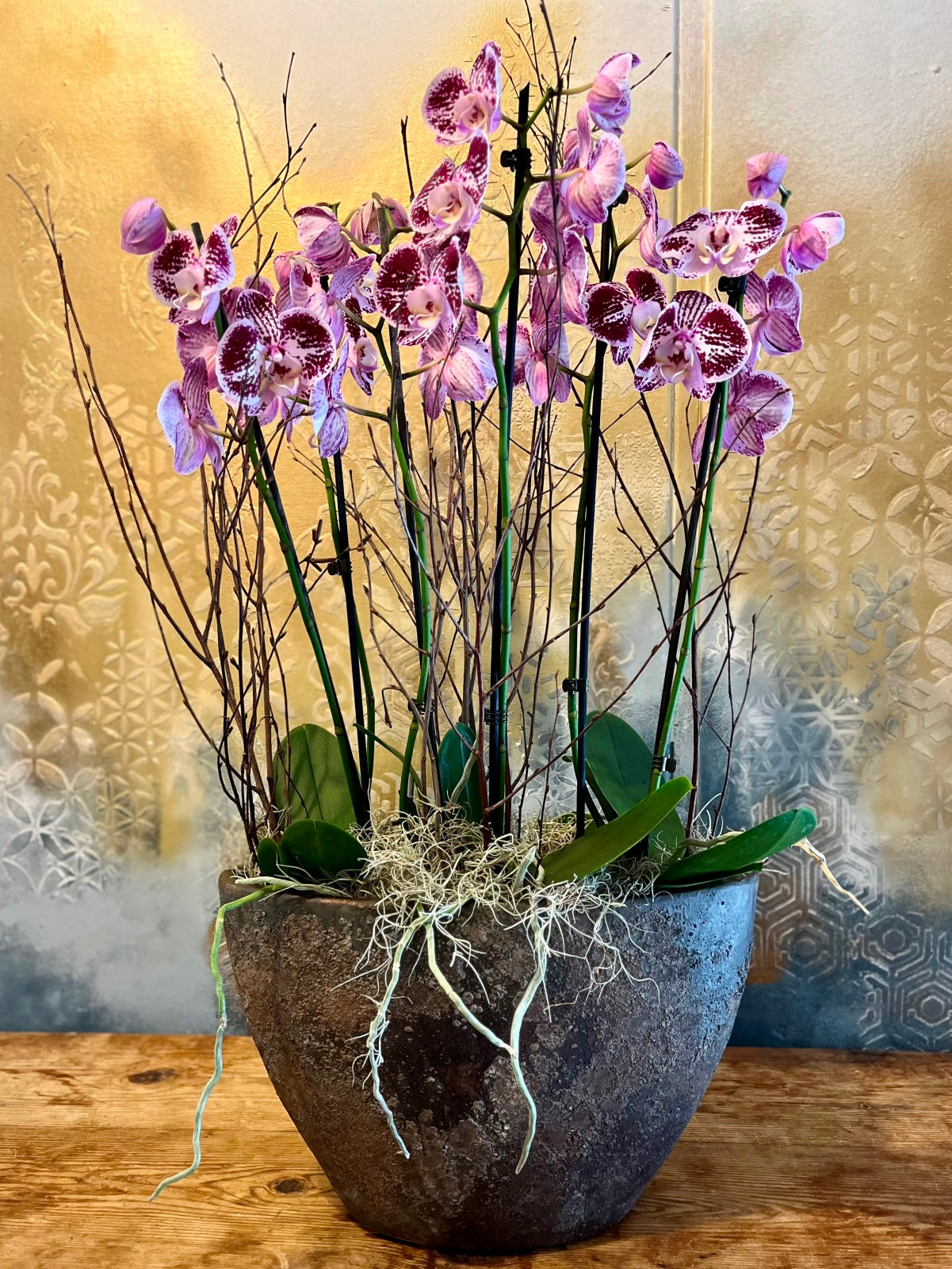 Large Planted Purple Orchid Display