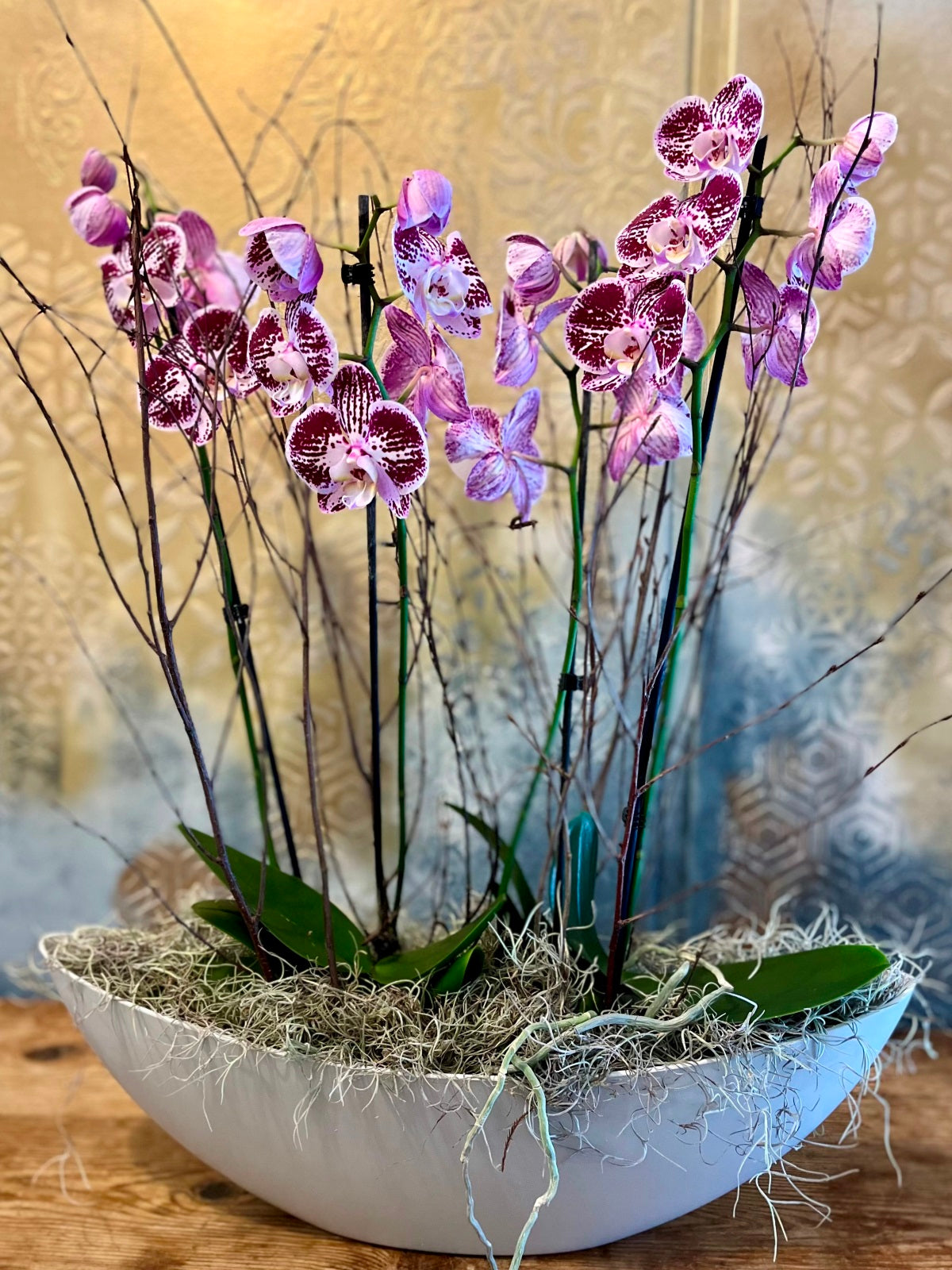 Purple Orchid Plants in Boat-Shaped Container Blooming Amazing