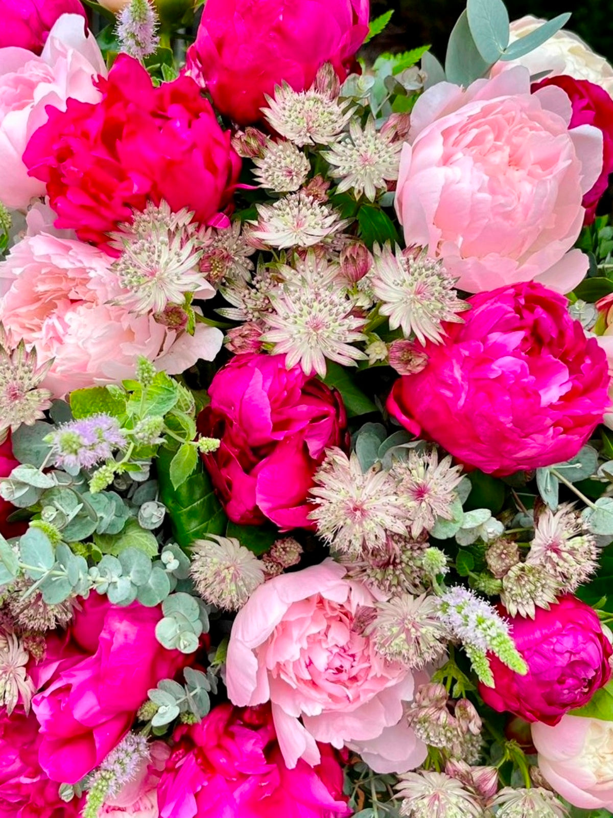 Close up of luxury pink peony flower bouquet