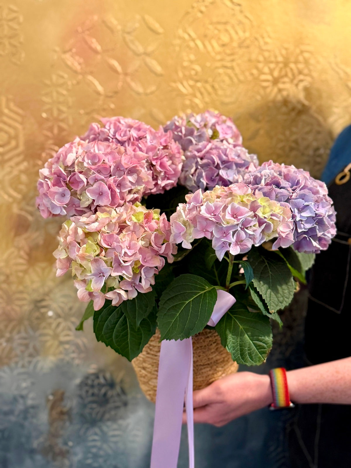 Colourful Hydrangea Plant in Woven container detail