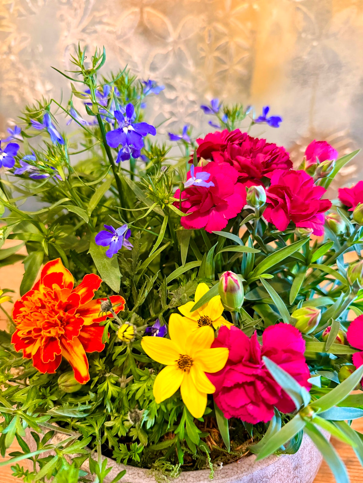 Colourful seasonal flowers planted in a ceramic bowl as a gift close up image