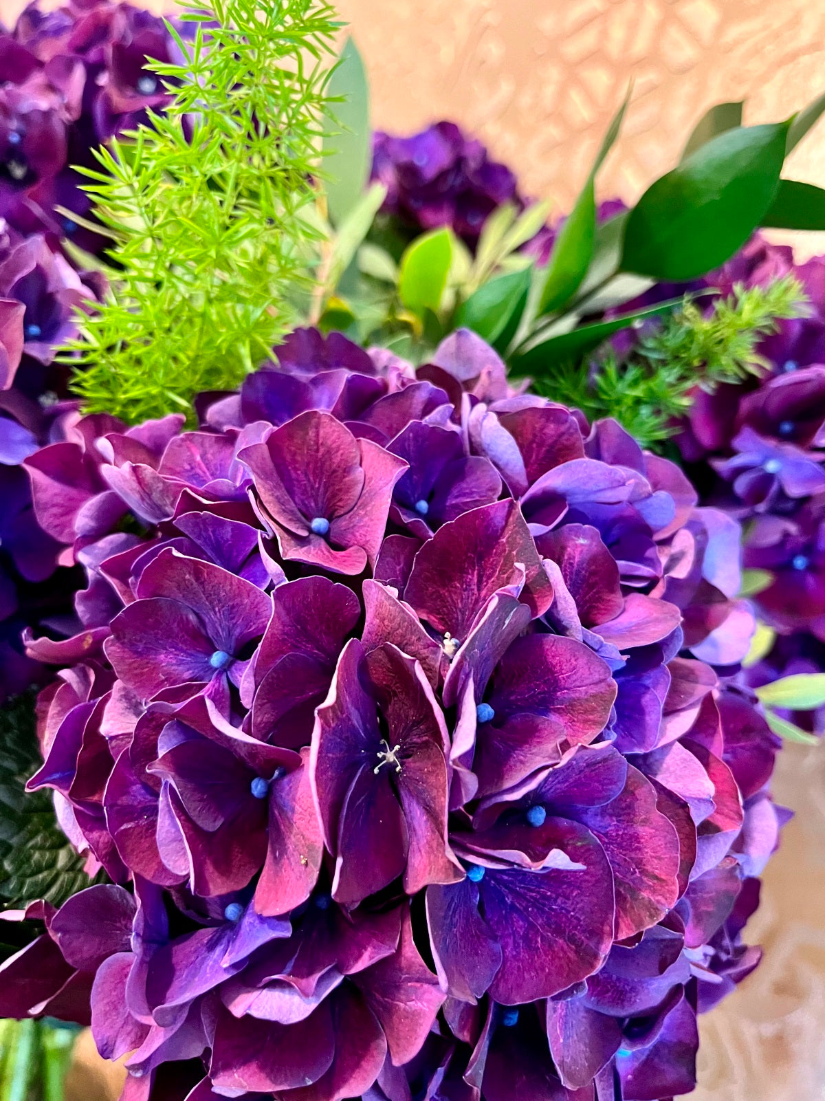 Hydrangea in Vase