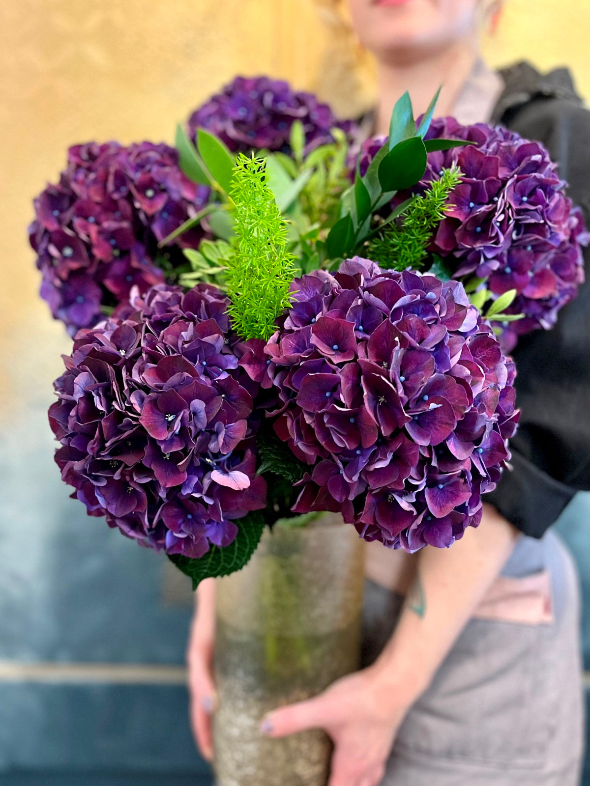 Hydrangea in Vase