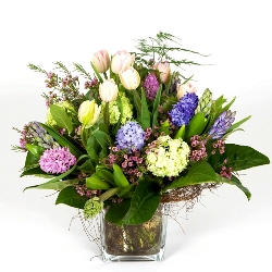 Mother's Day arrangement of Hyacinth and Tulips