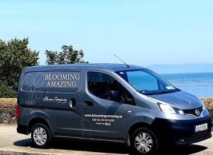 Flower delivery services in Dublin