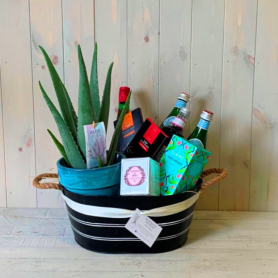 A gift hamper with treats and an aloe very plant for delivery in Dublin.
