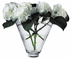 white hydrangea in clear glass vase