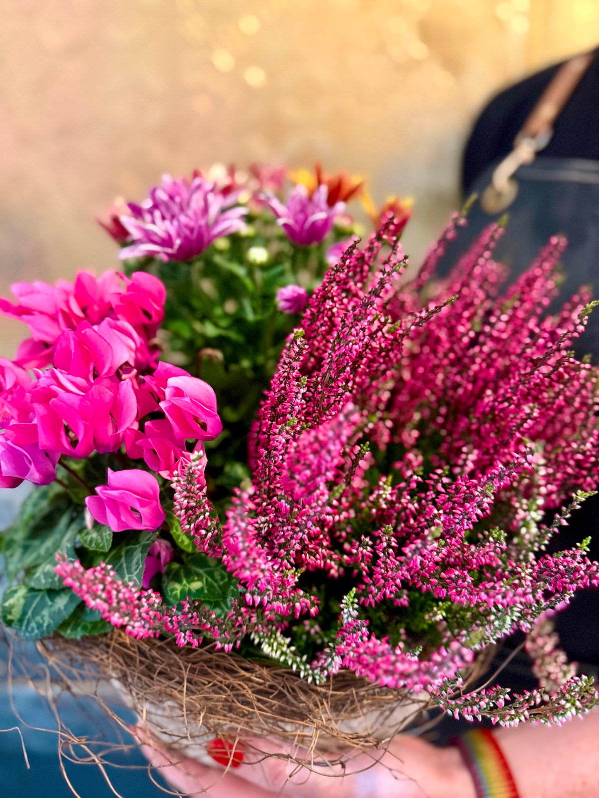 Colourful Autumnal Planter Close Up Image 