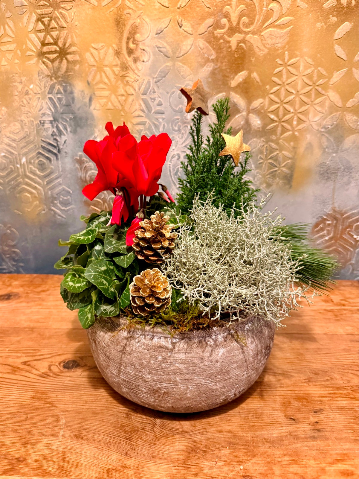 Christmas themed plants in ceramic container 