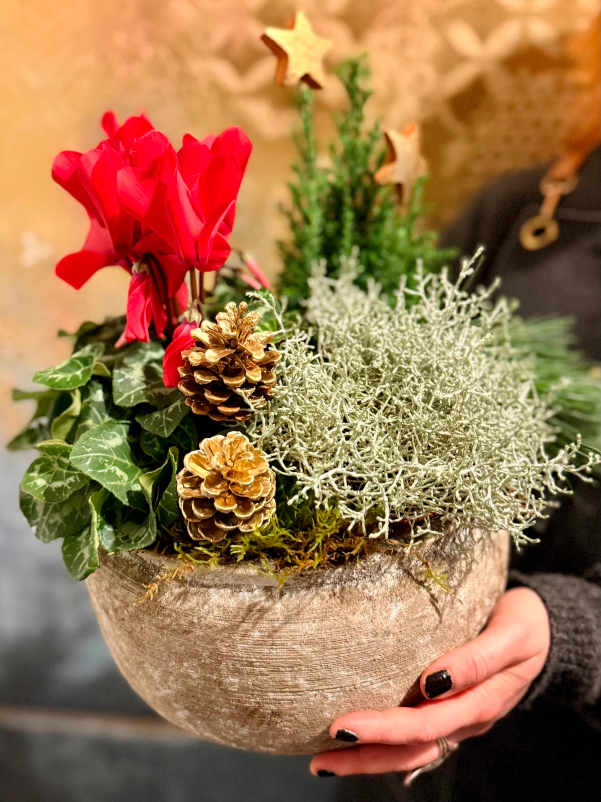 Colourful Christmas planter in ceramic container.