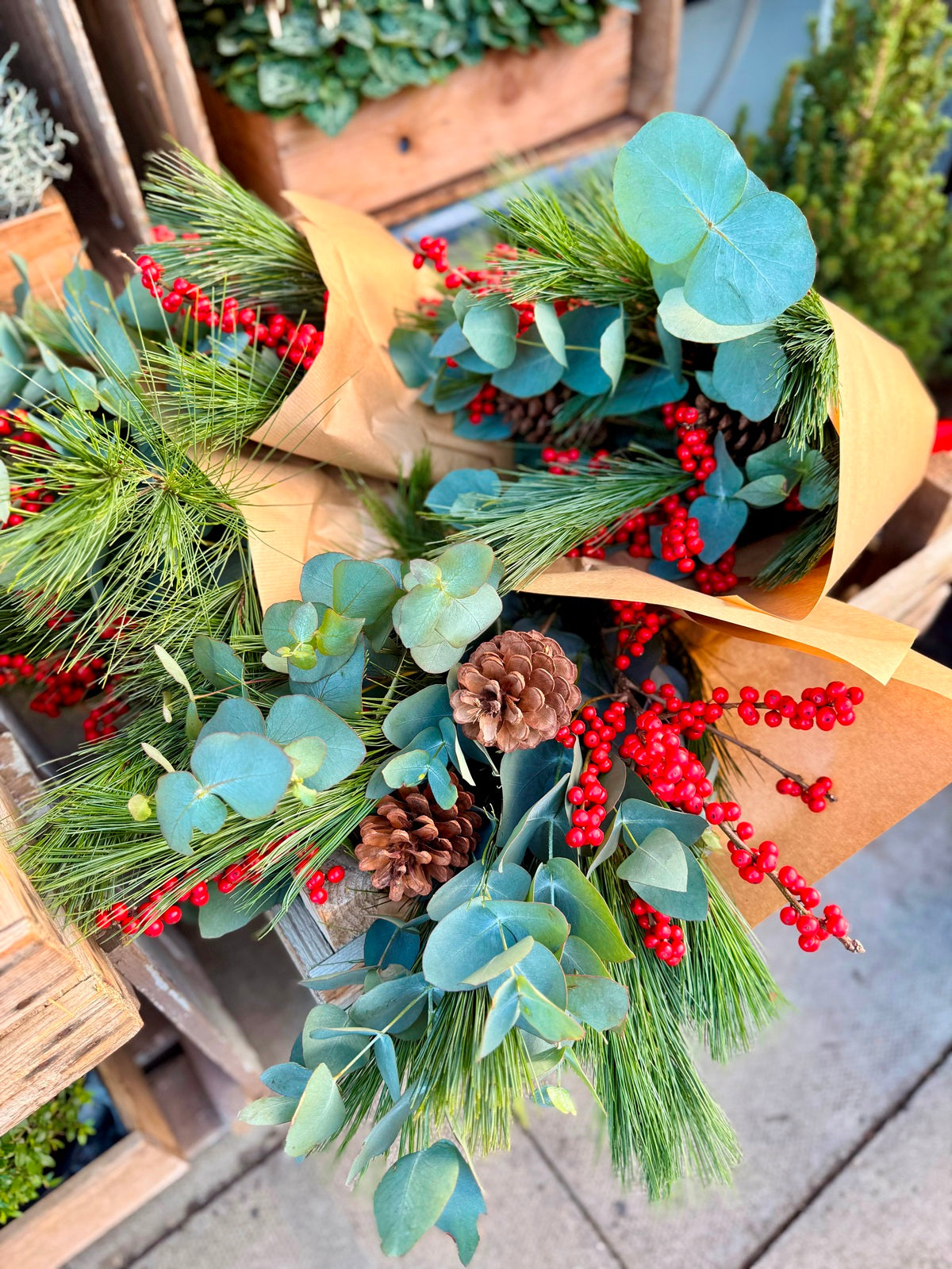 Eucalyptus Fir and Berry Bunch
