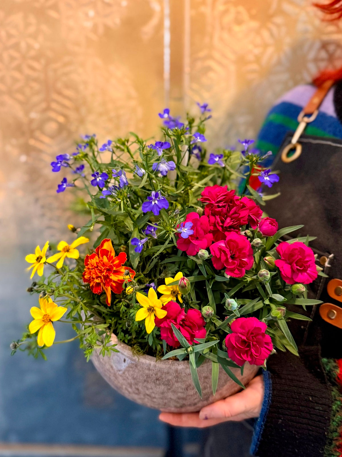 Colourful seasonal flowers planted in a ceramic bowl as a gift held by florist to give size context.