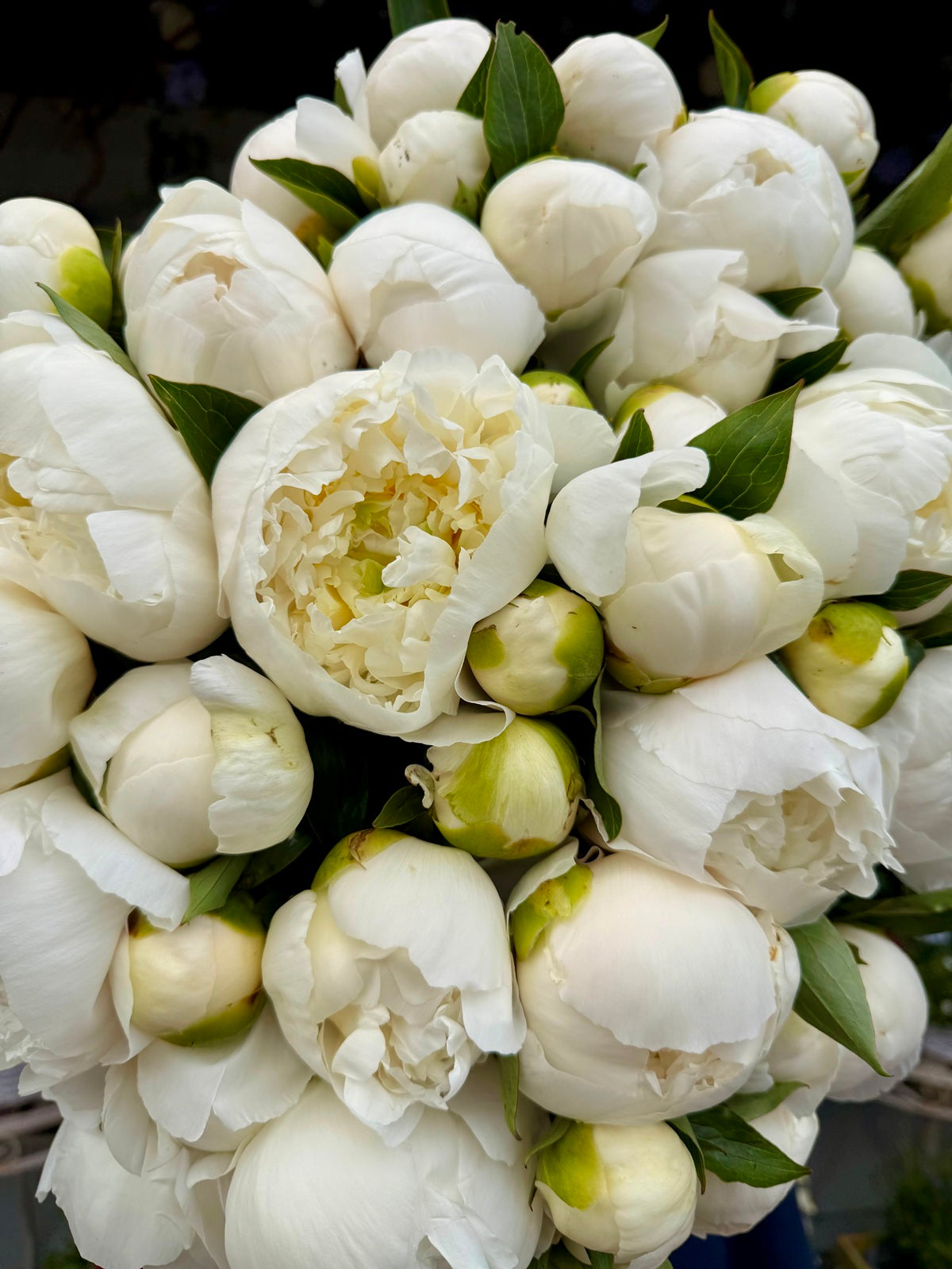 Luxury white peony rose flower bouquet zoomed in image