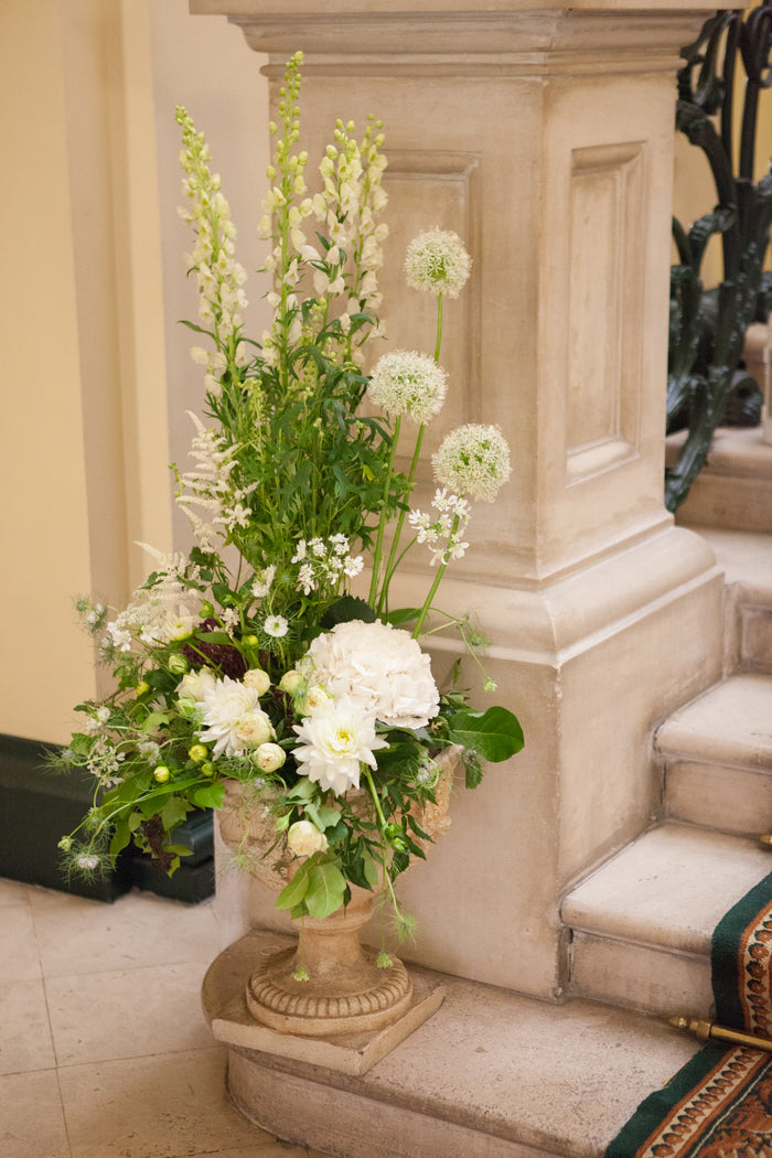 Royal College of Physicians in Ireland